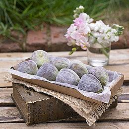 《Blacktail》开发者表示 XSS是“一款矛盾的主机”